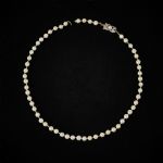 654980 Pearl necklace